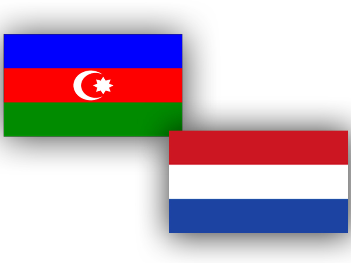 Azerbaijani, Netherlands' MFAs hold political consultations