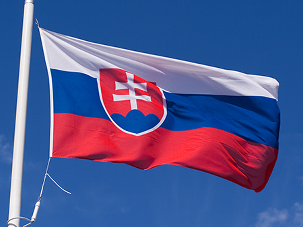 Slovakya'da genel seçim