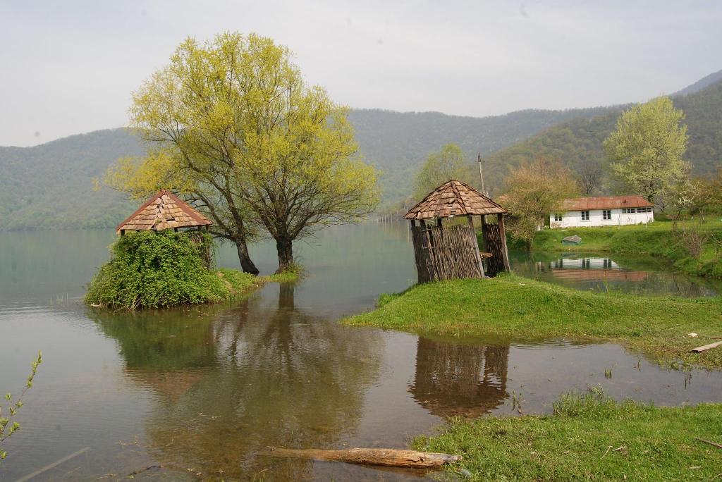 Выставка "Весенние сюжеты": вся красота бакинской весны (ФОТО)