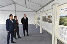Ильхам Алиев ознакомился с новосозданным хозяйством “Gilan aqro-sitrus” в Лянкяране (ФОТО)