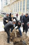 В Баку по инициативе Лейлы Алиевой состоялась озеленительная акция (ФОТО)