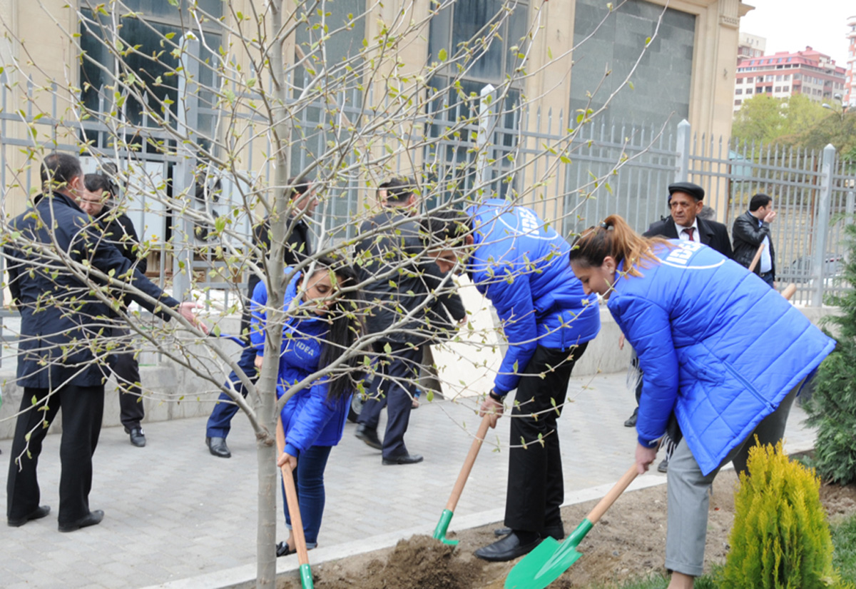 В Баку по инициативе Лейлы Алиевой состоялась озеленительная акция (ФОТО)