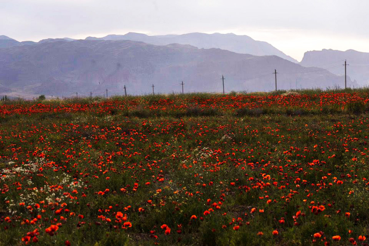 Tomb of Noah and 4 more reasons to visit Nakhchivan during European Games