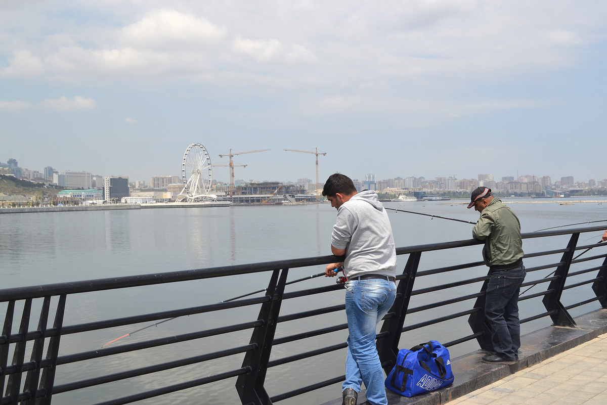 I Avropa Oyunlarına gələcək turistlər üçün əla məkan: Bakı buxtasının balıqçıları (FOTO)