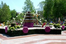 В Баку проводится Праздник цветов (ФОТО)