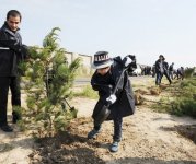Leyla Əliyeva “Yaşıl Marafon” layihəsi çərçivəsində bir milyonuncu ağacı əkdi (FOTO)