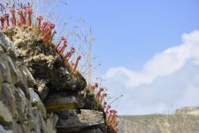 Gryz – ancient mountain village in Azerbaijan (PHOTO)