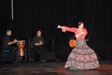 В театре «UNS» состоялся концерт виртуозов испанского фламенко (ФОТО)