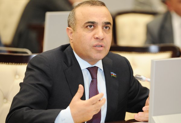 Изабель Сантос делает заявления согласно полученным инструкциям – азербайджанский депутат