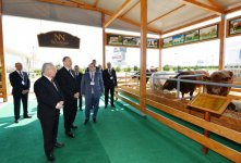 Президент Ильхам Алиев ознакомился с двумя выставками в Баку  (ФОТО)