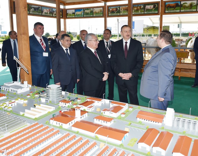 Azerbaijani president observes two exhibitions in Baku (PHOTO)