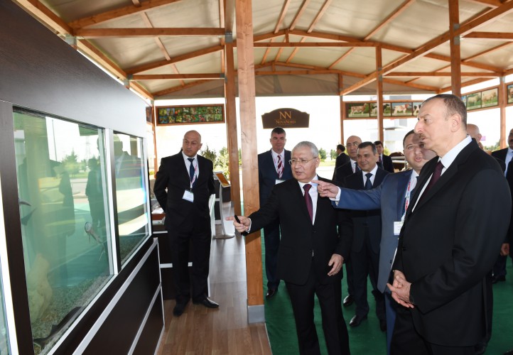 Президент Ильхам Алиев ознакомился с двумя выставками в Баку  (ФОТО)