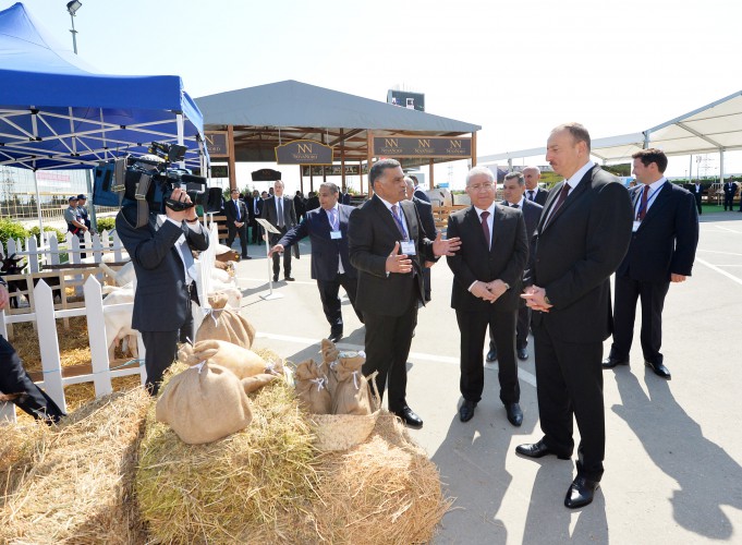 Azerbaijani president observes two exhibitions in Baku (PHOTO)