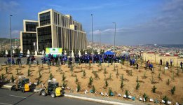 Завершился «Зеленый марафон» Общественного объединения IDEA (ФОТО)