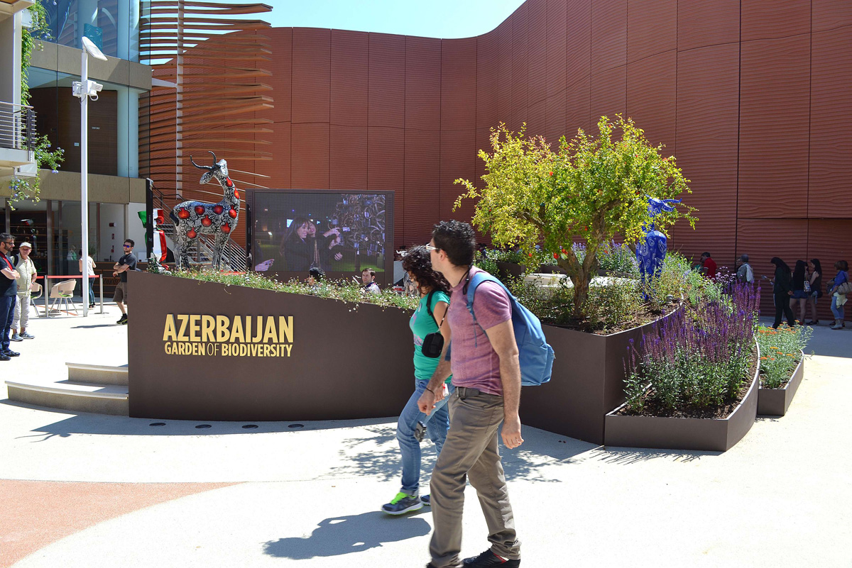 Azerbaijan's national pavilion very popular at Milan Expo 2015 (PHOTO, VIDEO)