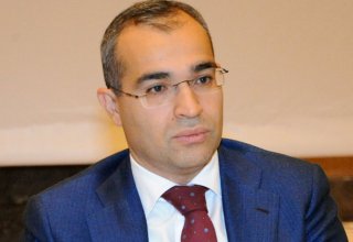 Tangible tax breaks needed for transparency in labor market: Azerbaijani minister