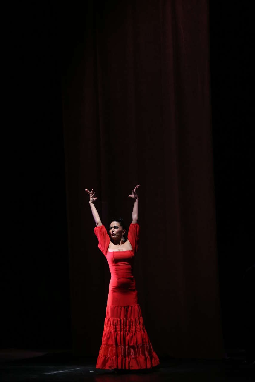 В Центре Гейдара Алиева представлено волшебное шоу фламенко "Кармен" (ФОТО)