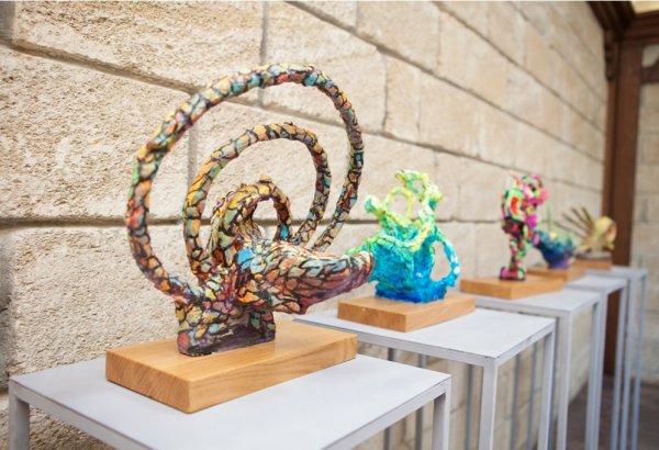 В Баку проходит выставка "Из отходов - в искусство" (ФОТО)