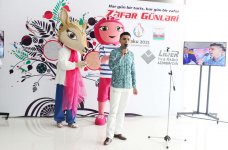 Азербайджанские спортсмены - герои - вице-президент НОК (ФОТО)