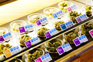 В Канаде разрешили продавать в магазинах "медицинскую" марихуану