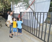 По инициативе Лейлы Алиевой в Бакинском зоопарке установлен новый вольер (ФОТО)