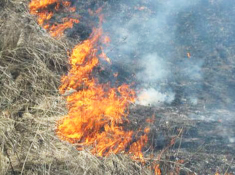 Пожар на территории вокруг Джейранбатанского водохранилища потушен (Обновлено)