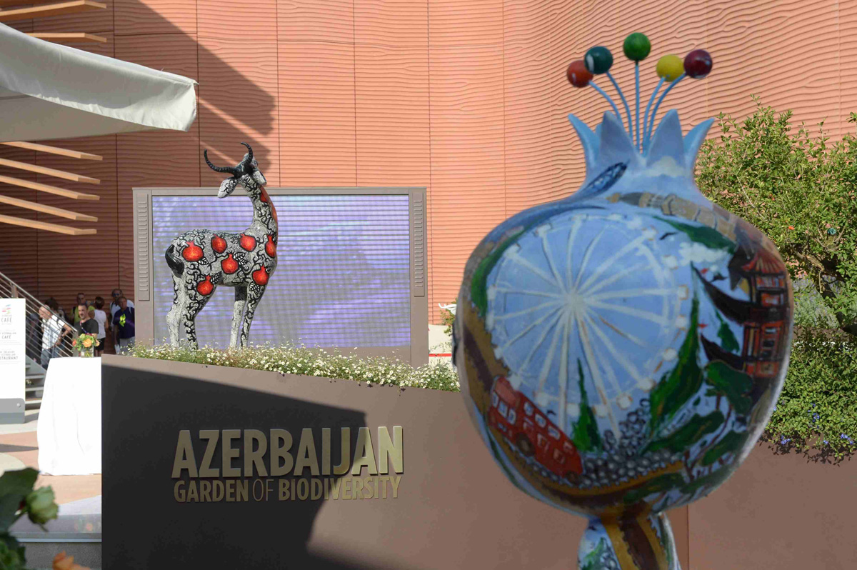 Обнародовано видео "Национального дня" в павильоне Азербайджана на выставке “Milan Expo 2015” - Gallery Image