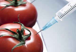 Регионы Азербайджана проверят на наличие ГМО-семян