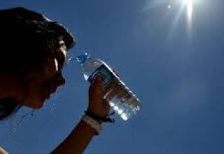 В Мексике объявили режим ЧП из-за аномальной жары