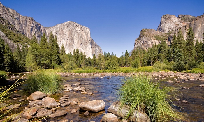 Two children camping at Yosemite park killed after tree limb falls on tent