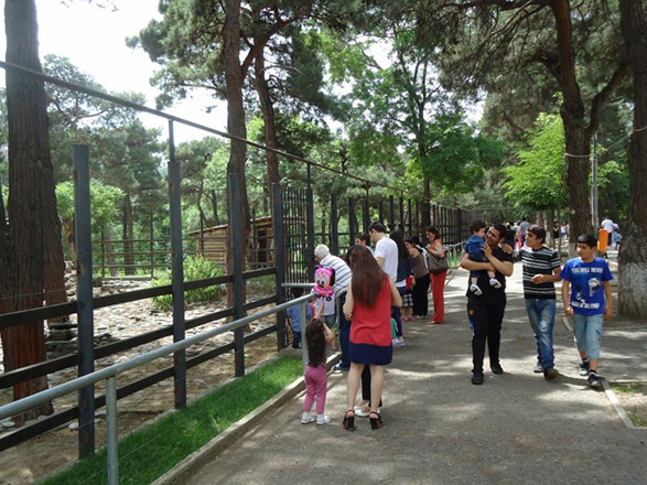 В тбилисском зоопарке произошел пожар