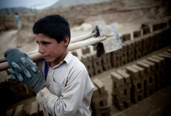 В Азербайджане усиливаются меры по предотвращению эксплуатации детского труда