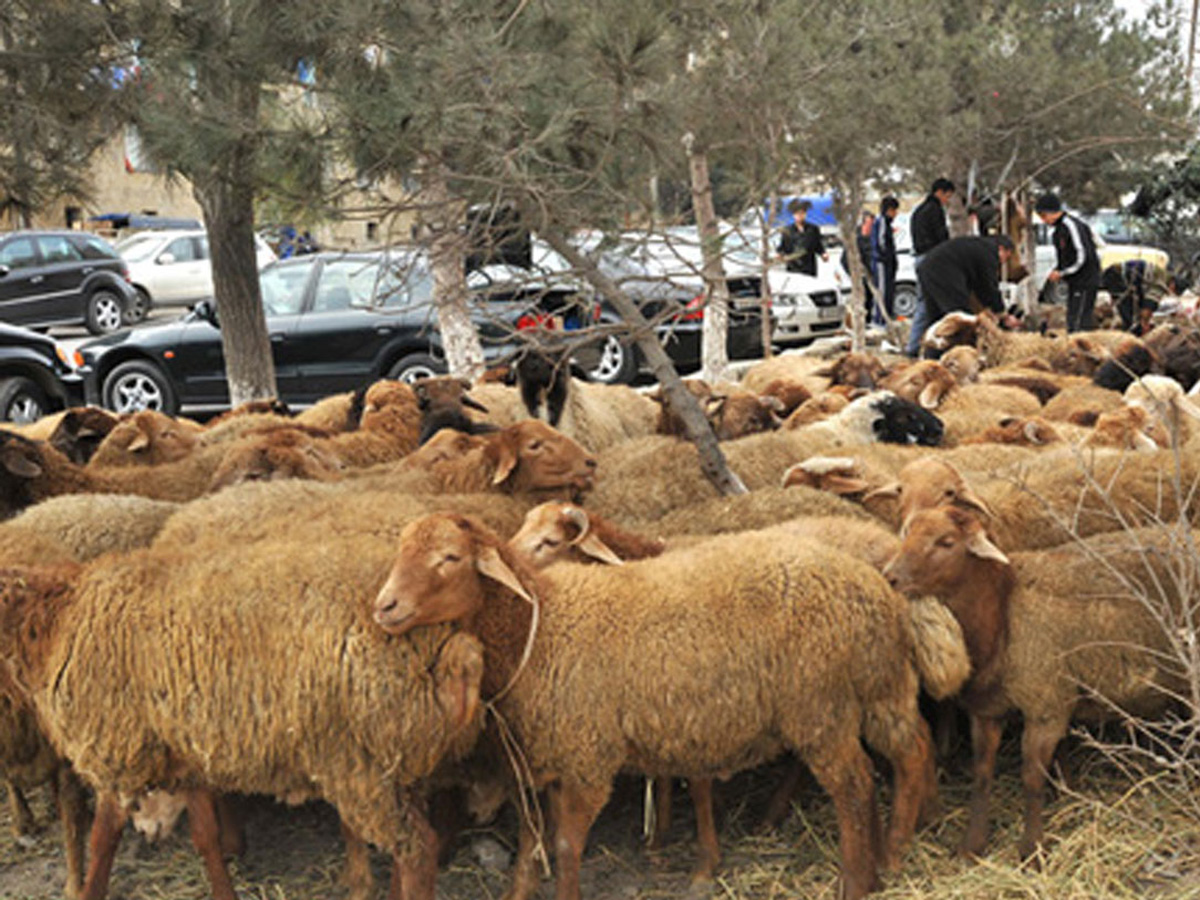 Azerbaijan marks Eid al-Adha