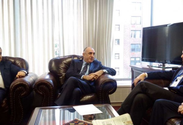 Azerbaijani FM met with the executive director of the American Jewish Committee