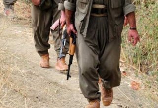 Turkish forces kill 7 PKK terrorists in southeast