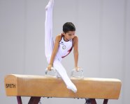 Kişi və qadın idman gimnastikası üzrə Bakı çempionatı və birinciliyi başlayıb  (FOTO)