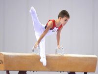 Kişi və qadın idman gimnastikası üzrə Bakı çempionatı və birinciliyi başlayıb  (FOTO)