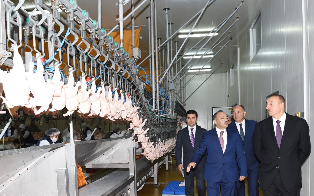 Президент Азербайджана ознакомился с птицеводческим промышленным комплексом ООО “Уджар Агро” (ФОТО)