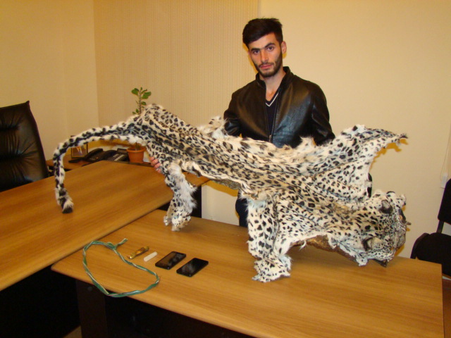 IDEA выражает серьезную обеспокоенность убийством леопарда, находящегося на грани исчезновения в Азербайджане (ФОТО)