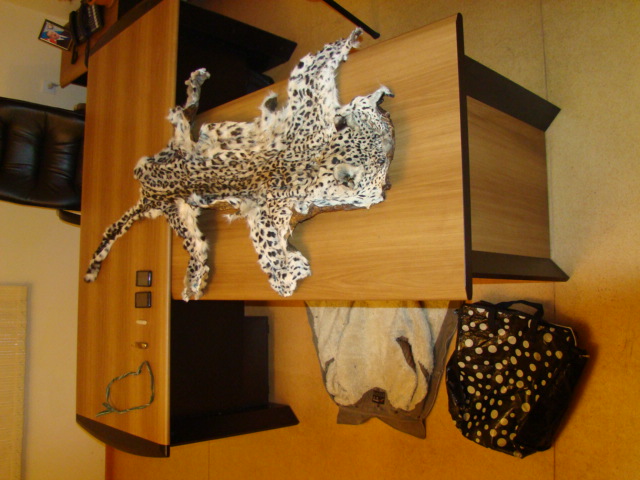 IDEA выражает серьезную обеспокоенность убийством леопарда, находящегося на грани исчезновения в Азербайджане (ФОТО) - Gallery Image