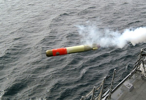Iran starts mass-production of smart torpedo