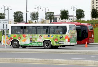 В ближайшее время на пригородных маршрутах Баку появятся новые автобусы