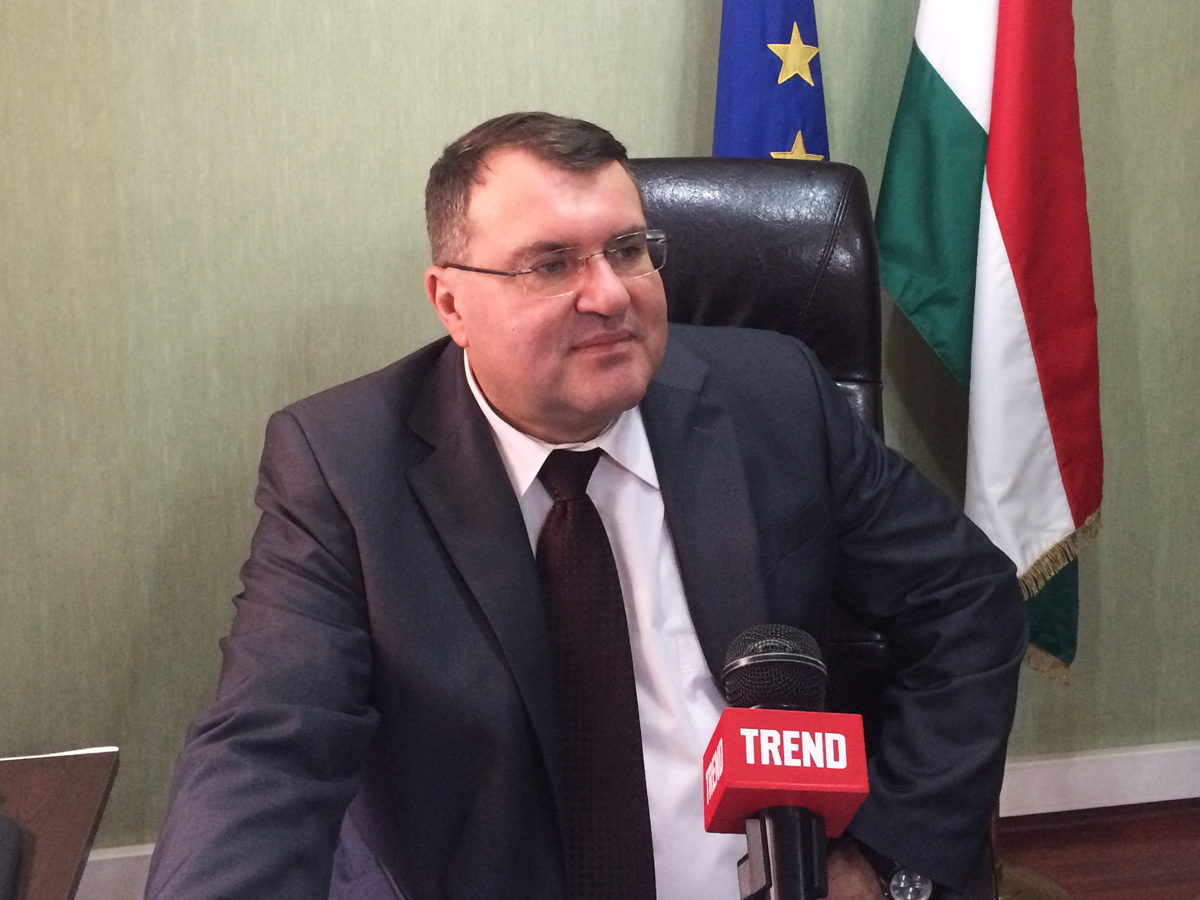 Венгрия предлагает льготы азербайджанским инвесторам – посол