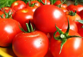 Azerbaycan: “Türkiye domatesinin Azerbaycan üzerinden Rusya'ya ihrac edilmesi gerçek değil”