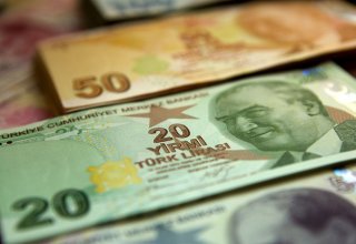 Türkiye's foreign exchange reserves rise to record high in week