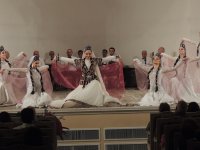 Мастерство, грациозность и красота азербайджанского танцевального искусства  (ФОТО)