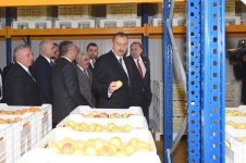 Azerbaijani, Georgian presidents review cold storage complex in Marneuli