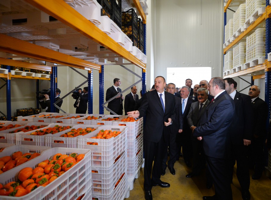 Azerbaijani, Georgian presidents review cold storage complex in Marneuli