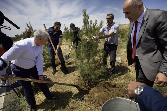 Посадка деревьев – важная часть экологического вклада Coca-Cola в устойчивое развитие Азербайджана