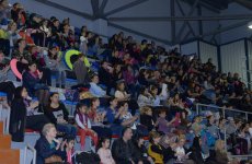 Азербайджанская гимнастика за год достигла больших успехов - федерация (ФОТО)